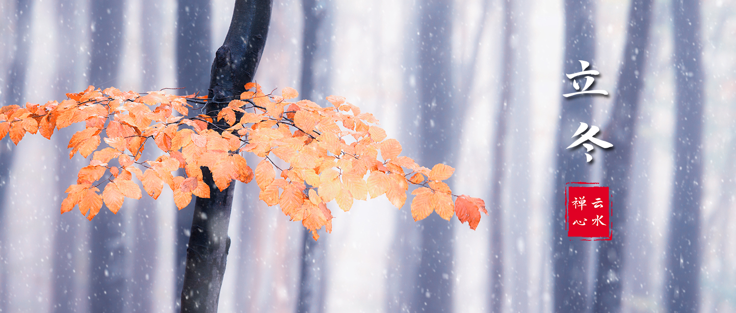立冬 | 秋收冬藏，冬季也是享受丰收的季节