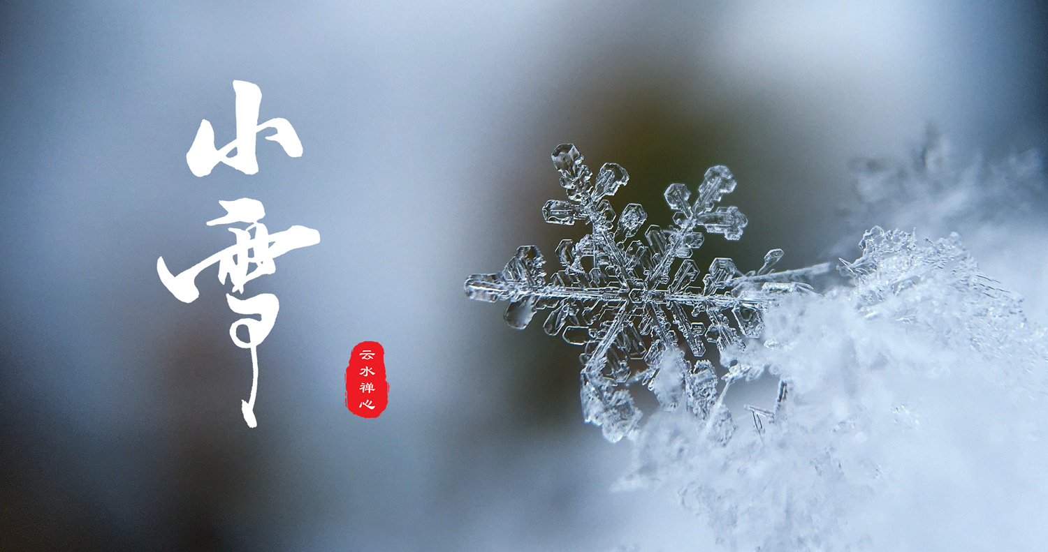 小雪 | 落地化水，不留痕迹，如此亦好