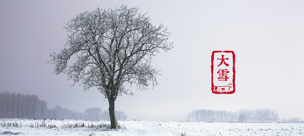 大雪 | 愿不畏严寒，心翱天地