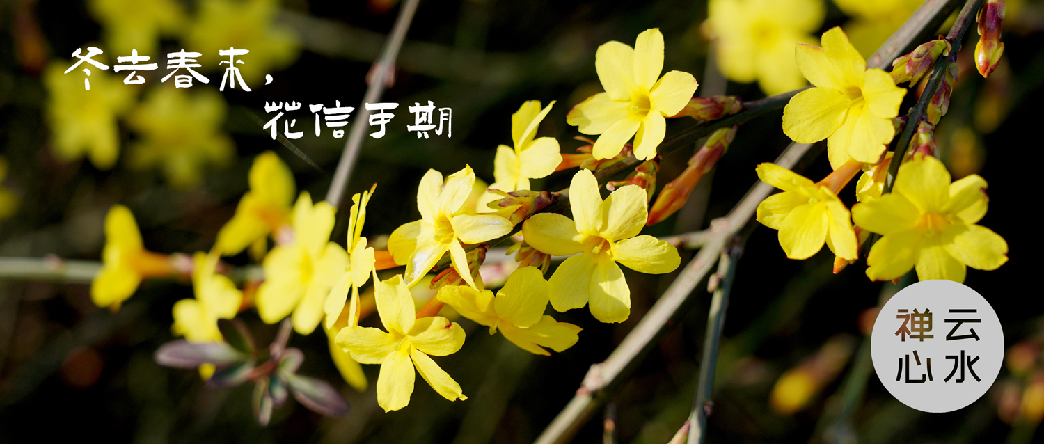 冬去春来，花信可期