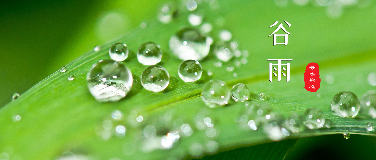 不风不雨正晴和，正好清明连谷雨