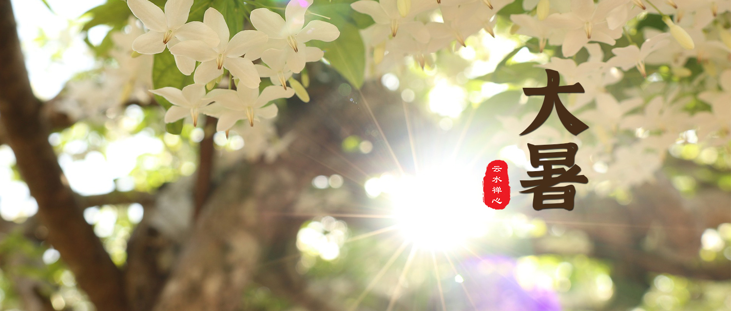 大暑 | 赴一场盛夏的宴会