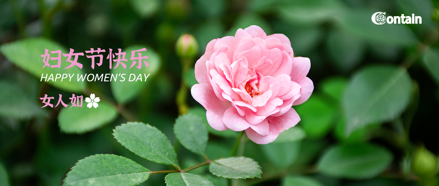 三月八日 | 祝天下女性内心丰盈、芬芳自来